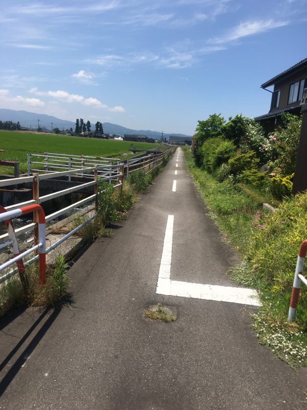 自転車道風景