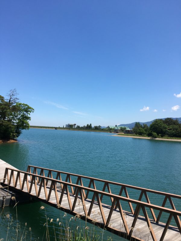 桜ヶ池全景風景